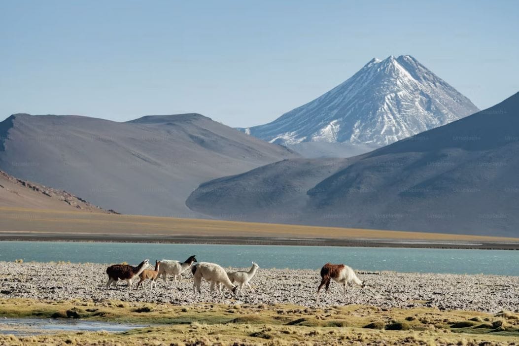 Kazakhstan visa-free destination from India in August