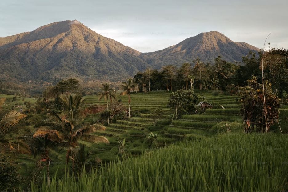 Bali Indonesia in August dry season